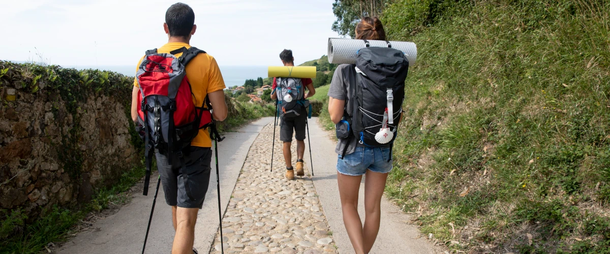 Guided Walks